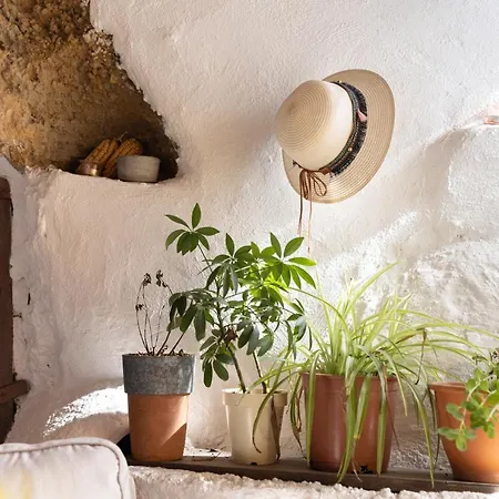 Casa Cueva Gaspara Holiday home Arico