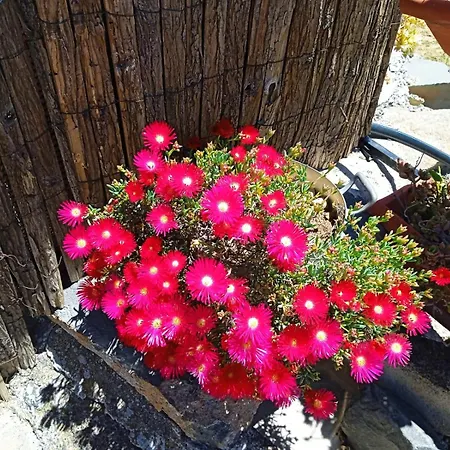 Hébergement de vacances Casa Cueva Gaspara *